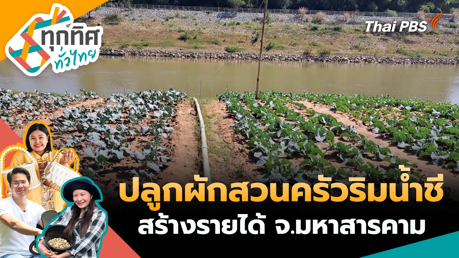 ปลูกผักสวนครัวริมน้ำชีสร้างรายได้ จ.มหาสารคาม