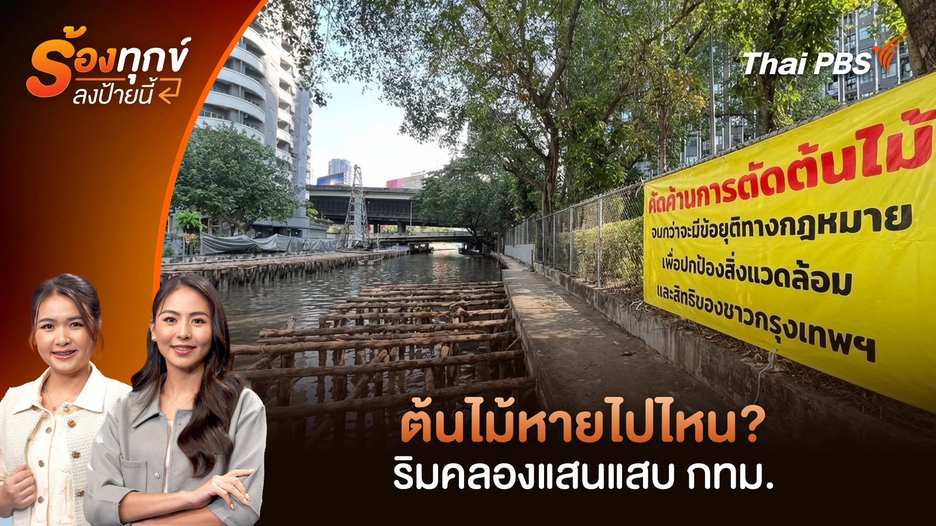 ต้นไม้หายไปไหน? ริมคลองแสนแสบ กทม.