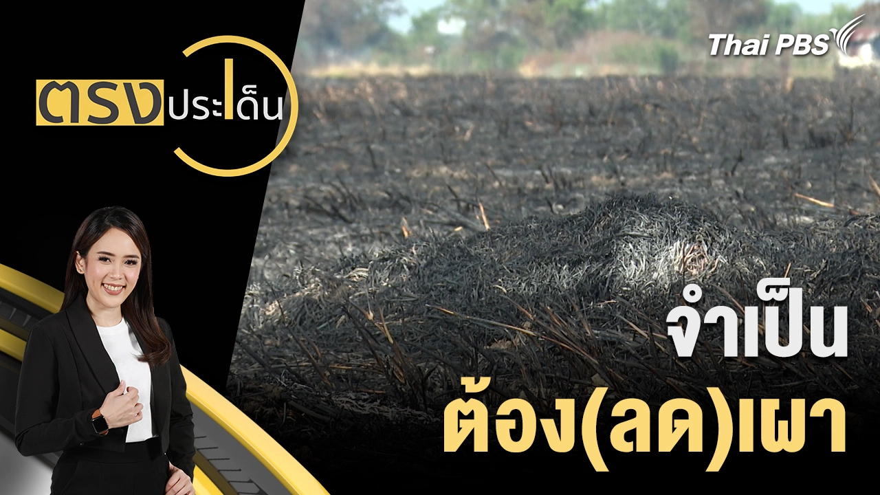 จำเป็น ต้อง(ลด)เผา 