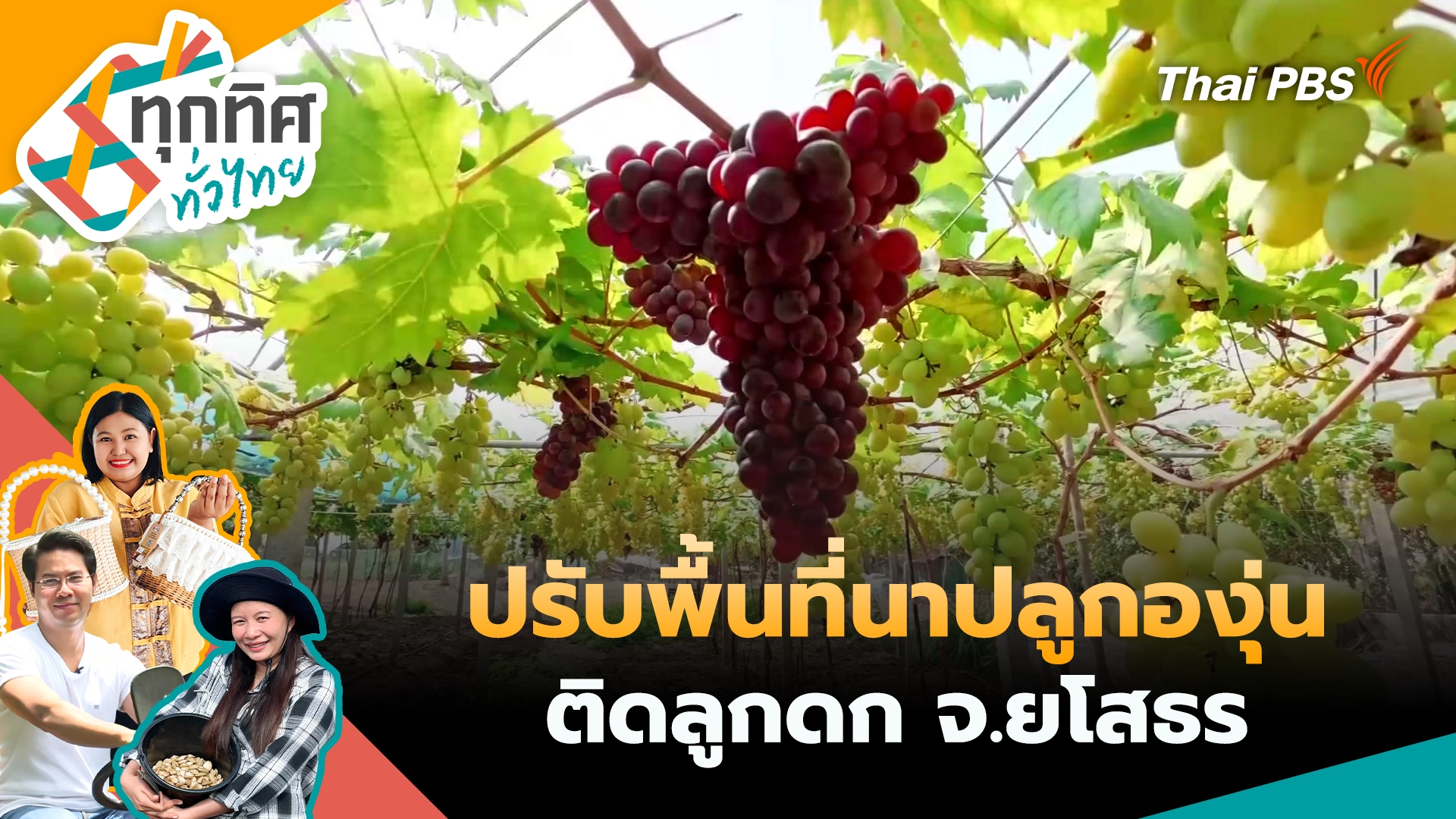 ทุกทิศทั่วไทย