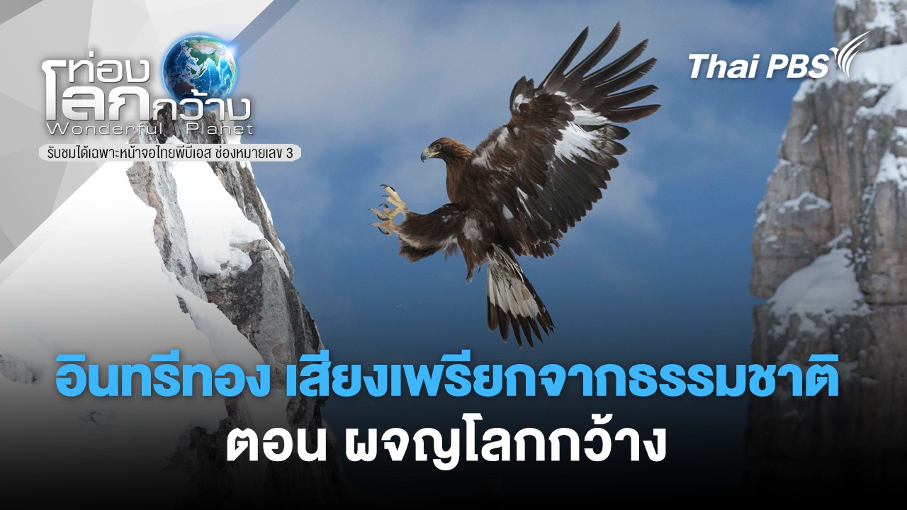 อินทรีทอง-เสียงเพรียกจากธรรมชาติ ตอน ผจญโลกกว้าง