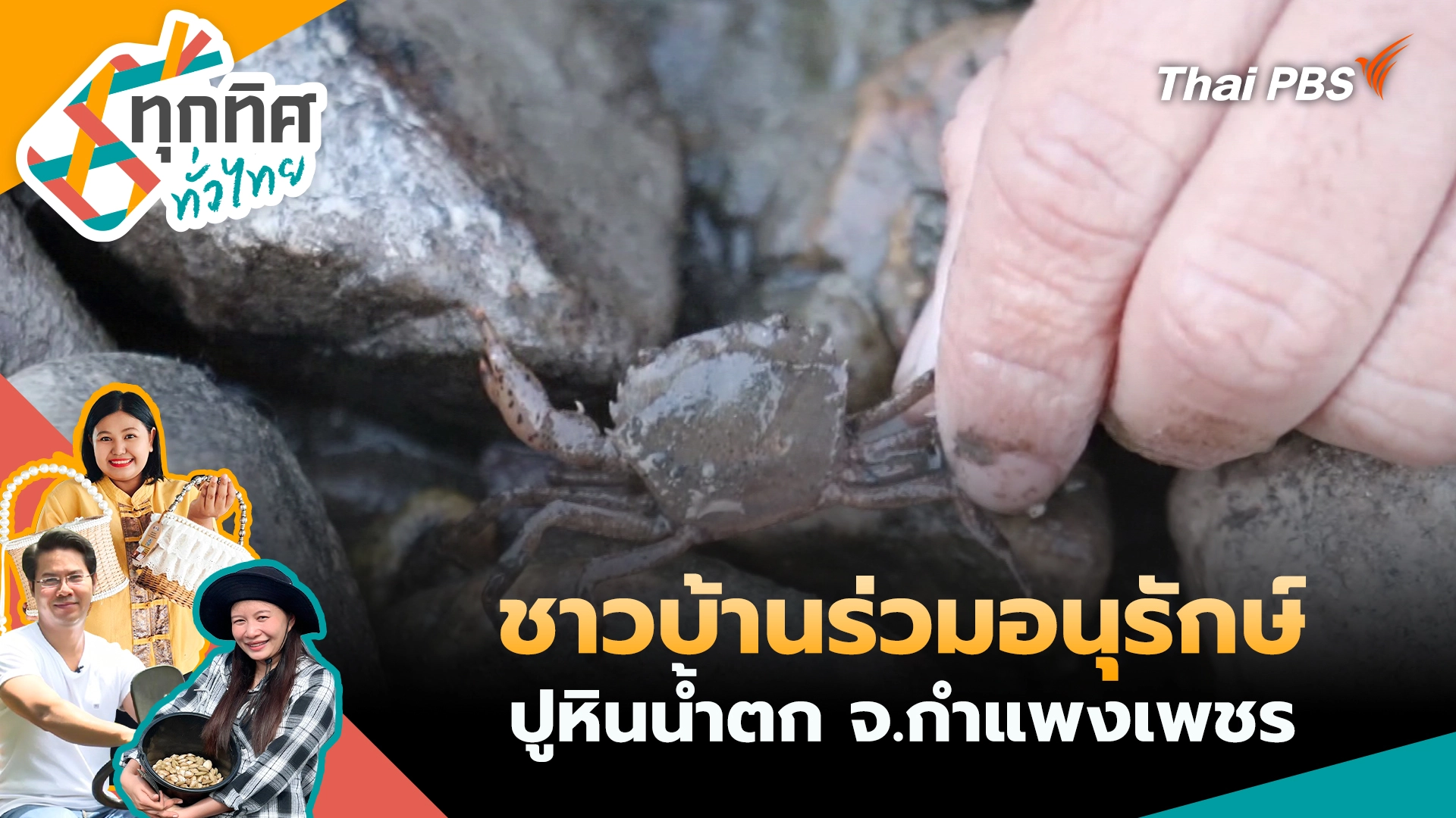 ชาวบ้านร่วมอนุรักษ์ปูหินน้ำตก จ.กำแพงเพชร