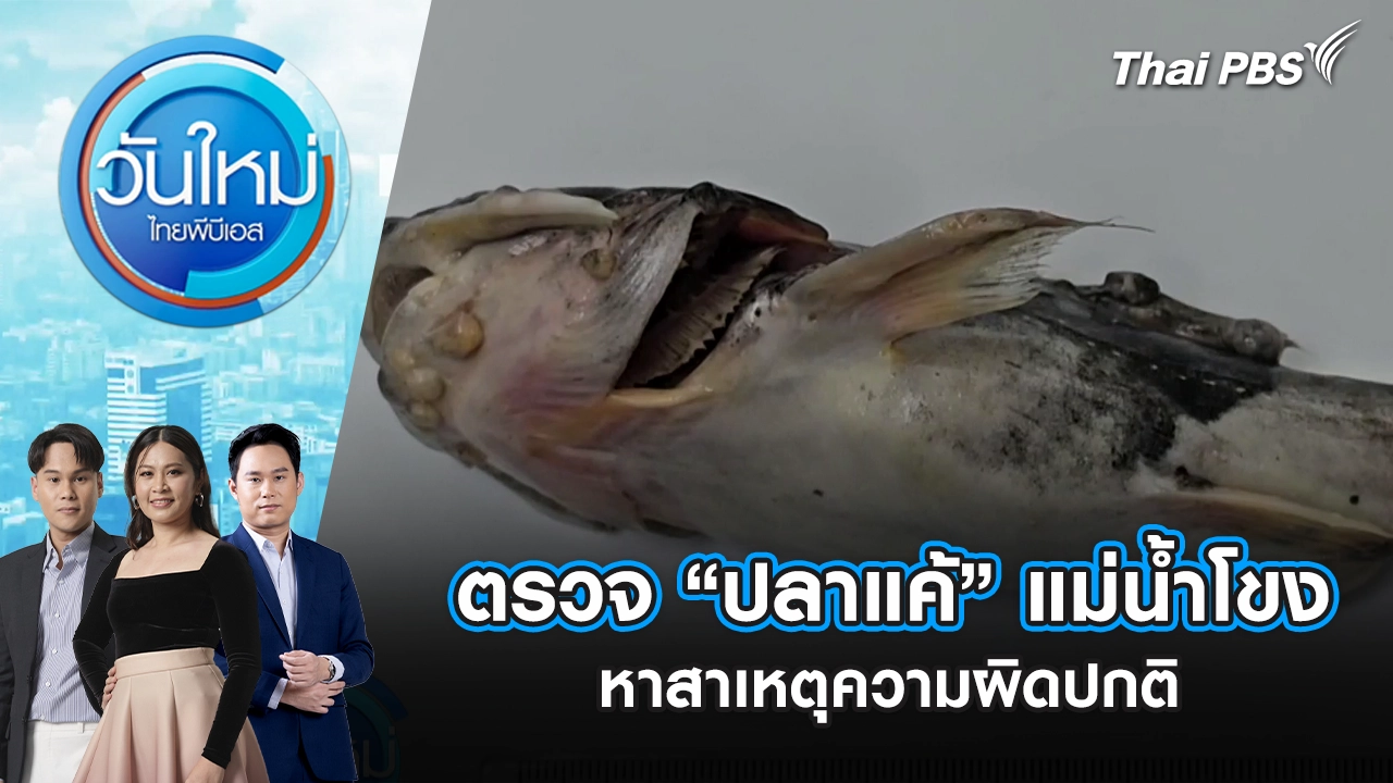 วันใหม่  ไทยพีบีเอส