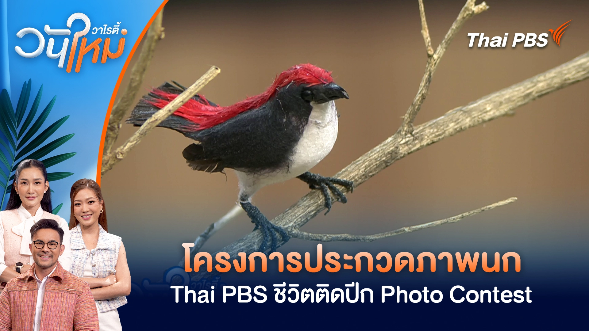 วันใหม่วาไรตี้