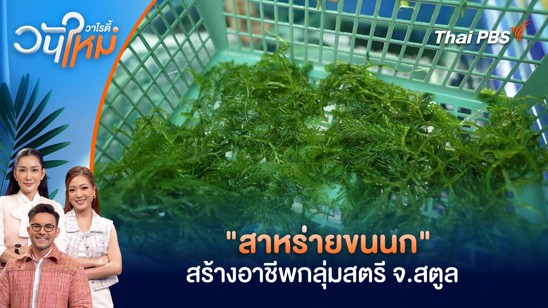 วันใหม่วาไรตี้