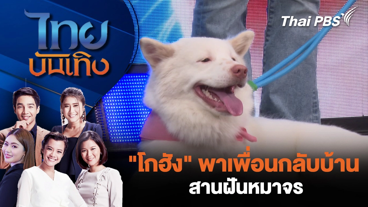 "โกฮัง" พาเพื่อนกลับบ้าน สานฝันหมาจร 