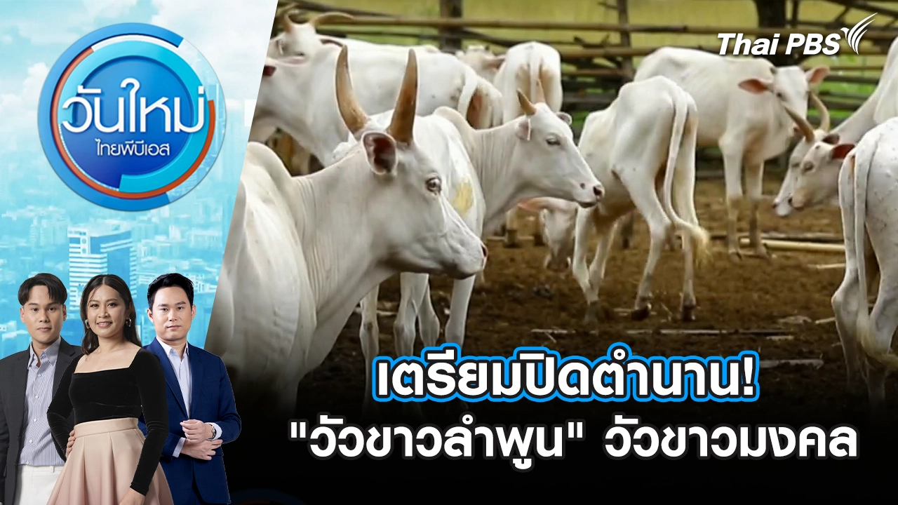 วันใหม่  ไทยพีบีเอส
