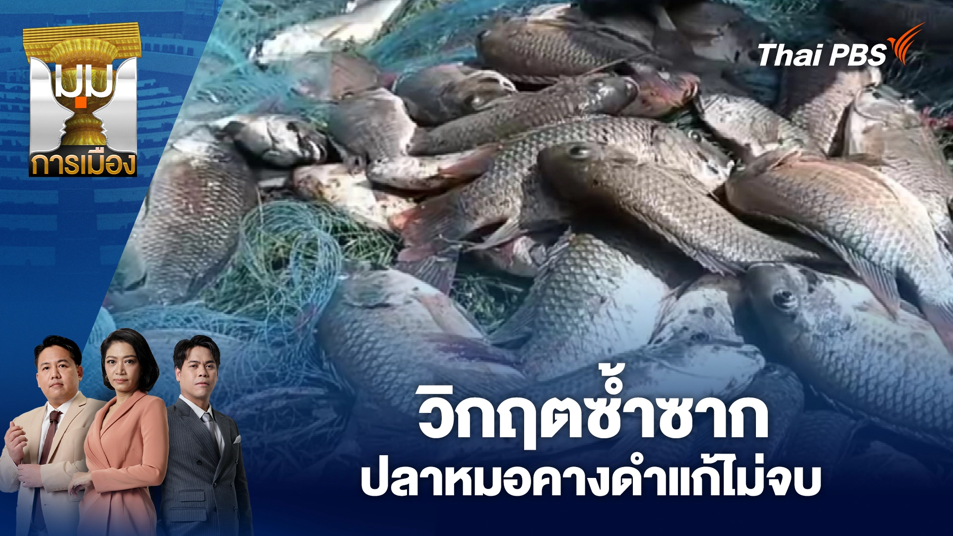 มุมการเมือง