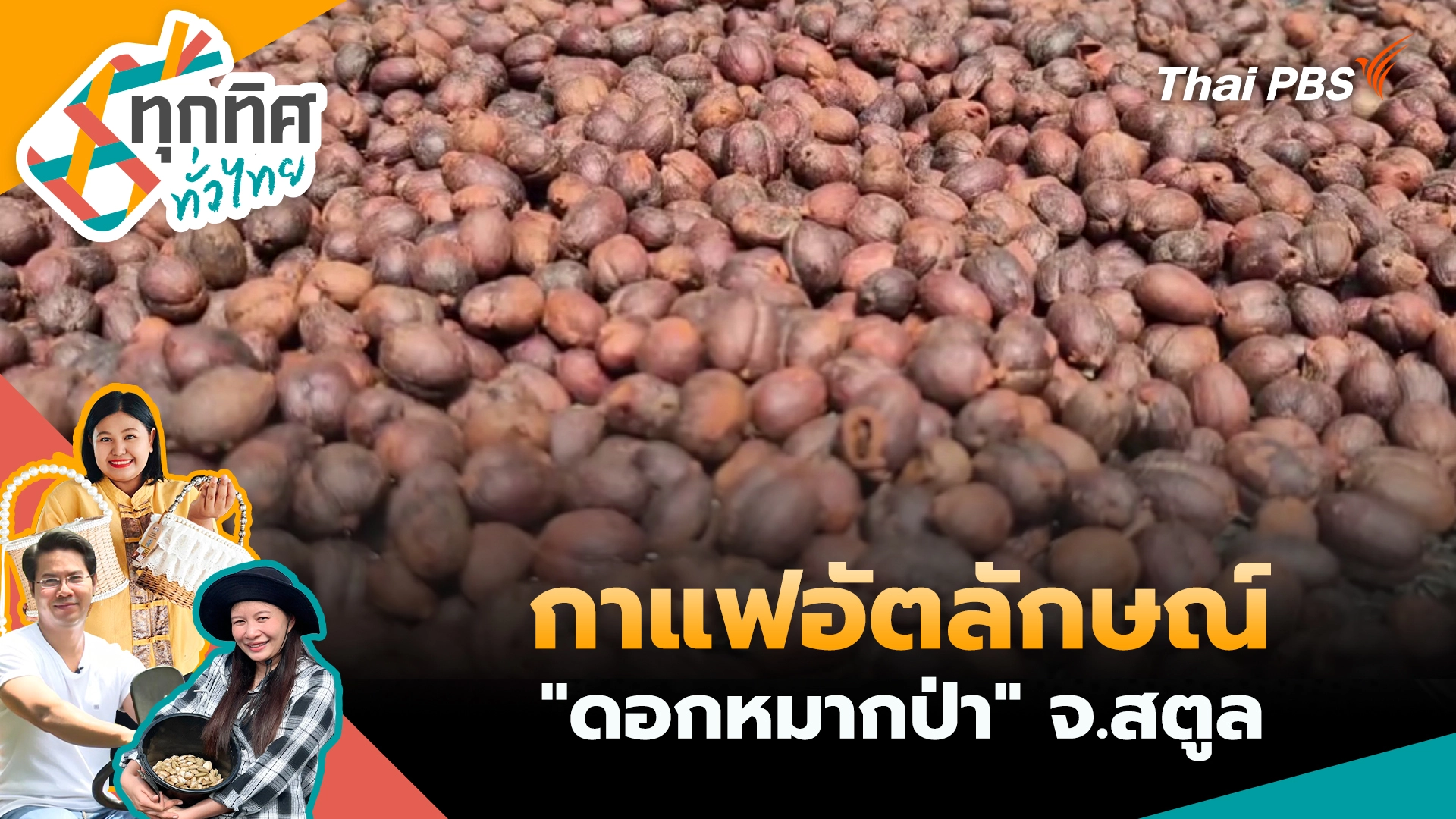 ทุกทิศทั่วไทย