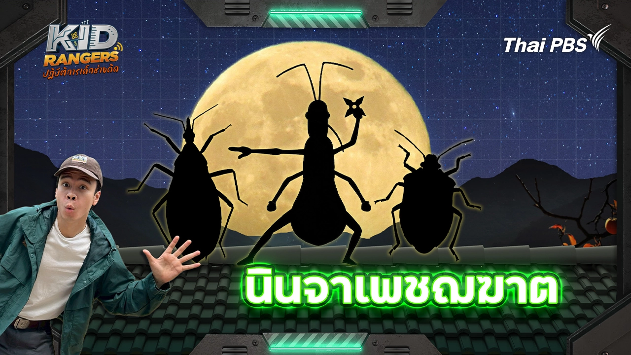 นินจาเพชฌฆาต 
