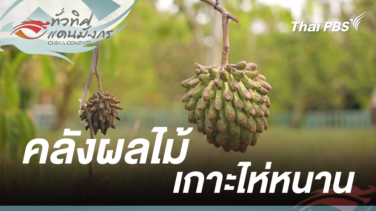 คลังผลไม้เกาะไห่หนาน