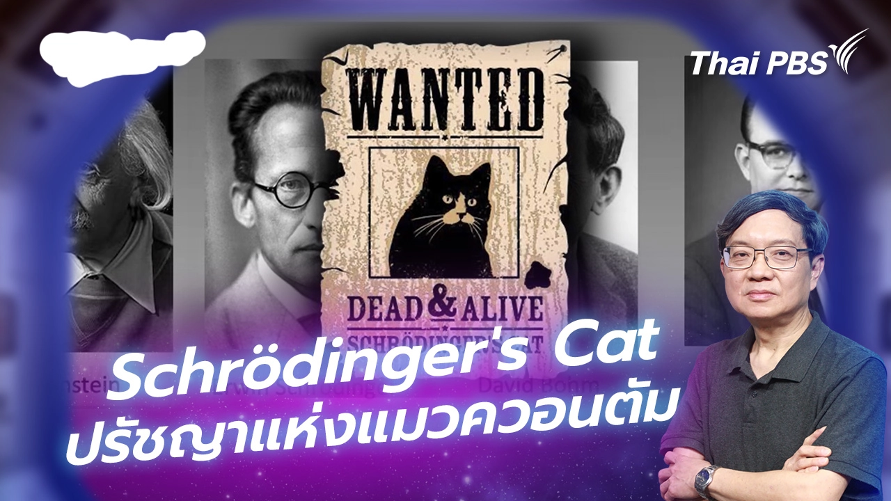 Schrödinger's Cat ปรัชญาแห่งแมวควอนตัม