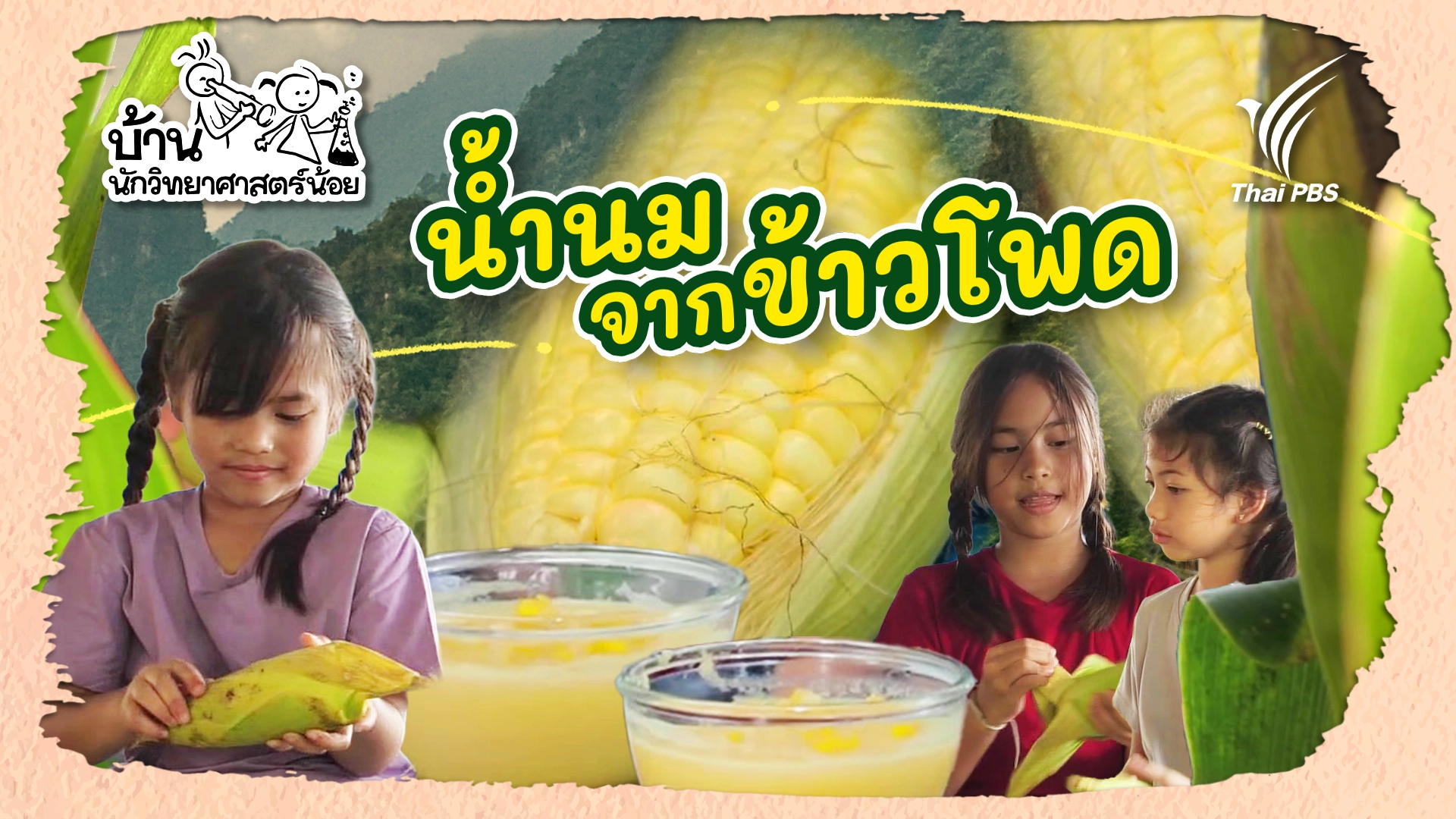 น้ำนมจากข้าวโพด