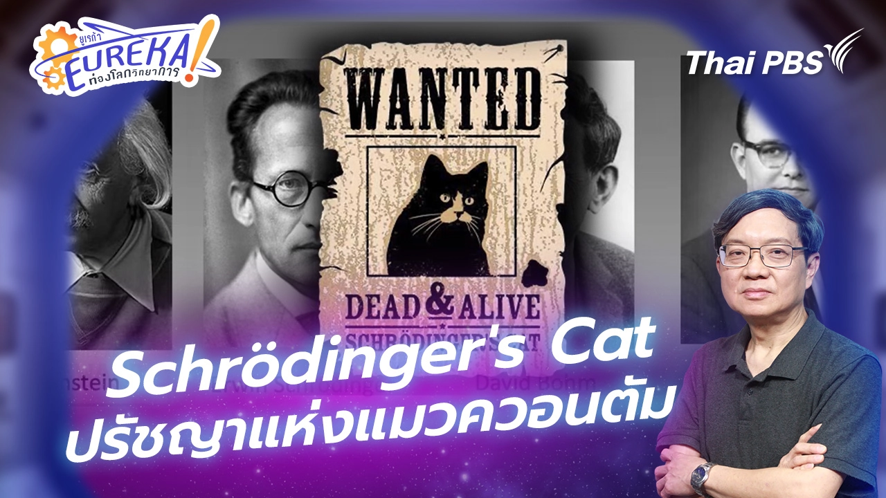 Schrödinger's Cat ปรัชญาแห่งแมวควอนตัม