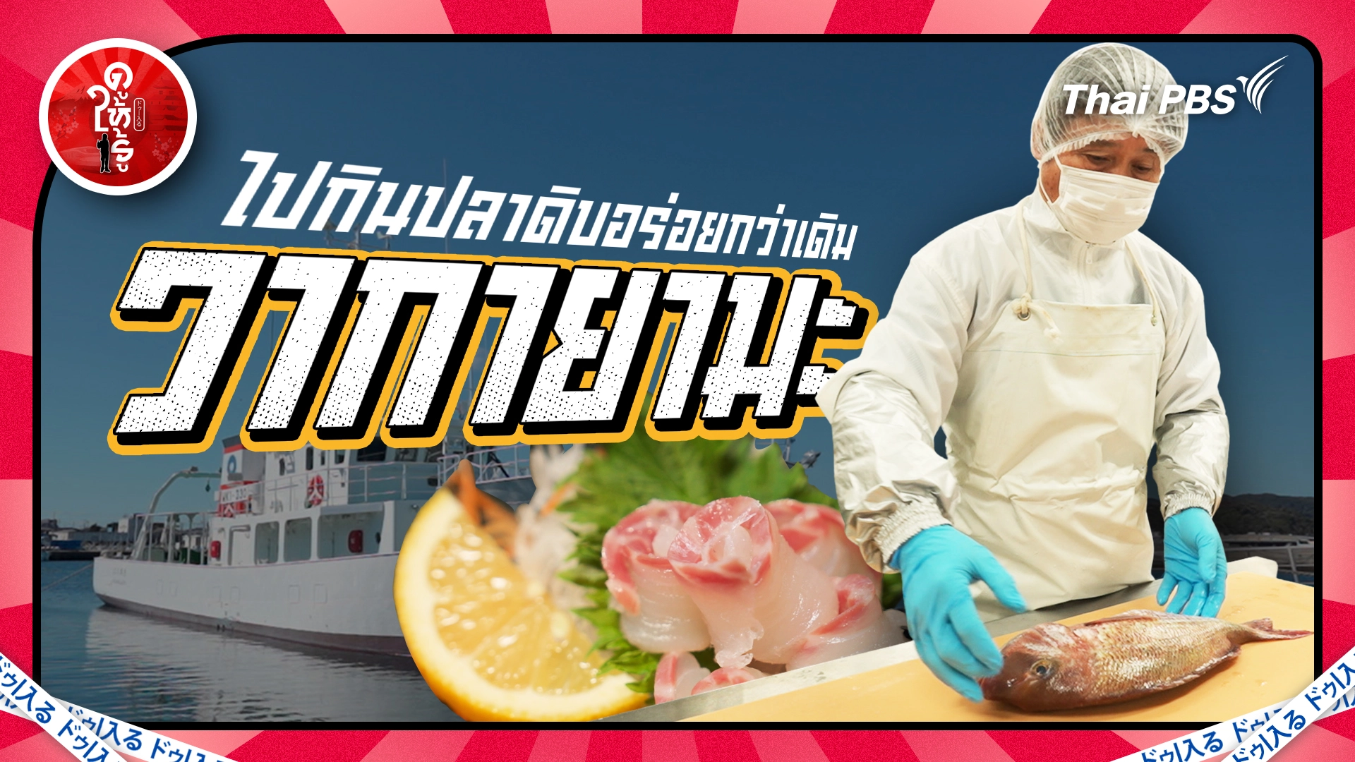 ไปกินปลาดิบอร่อยกว่าเดิมที่วากายามะ ที่นี่ที่เดียว