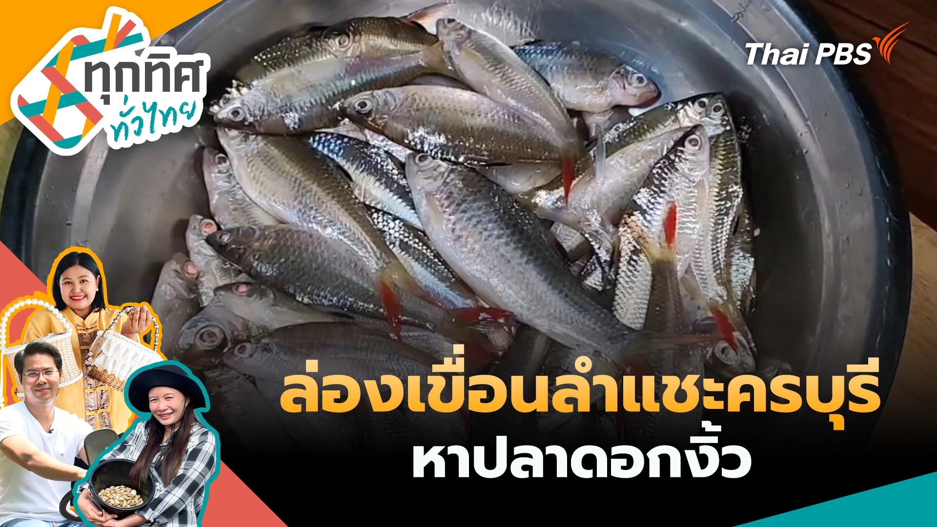 ทุกทิศทั่วไทย