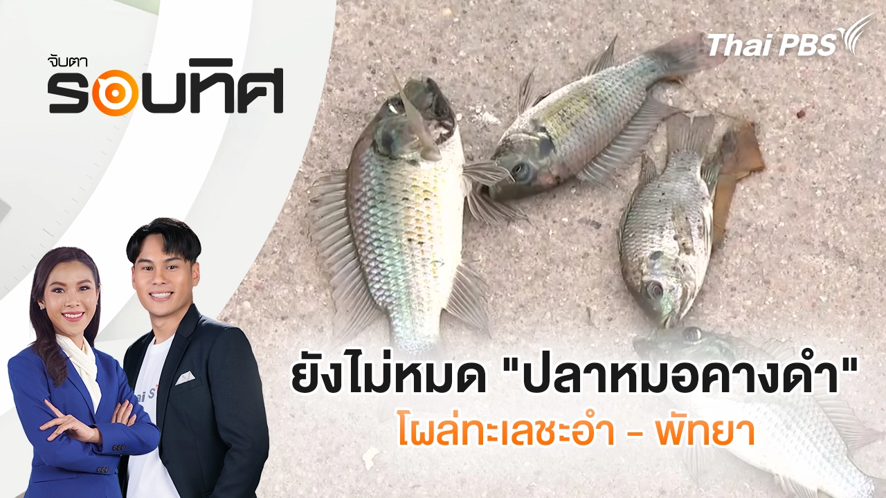จับตารอบทิศ