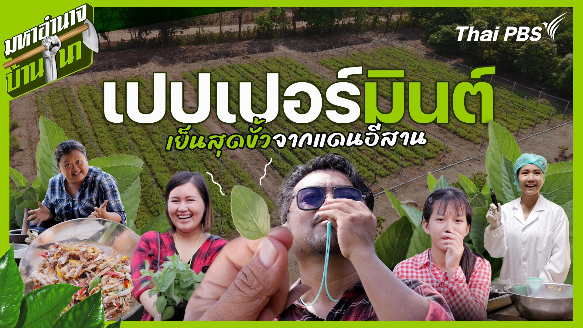 เปปเปอร์มินต์ เย็นสุดขั้วจากแดนอีสาน