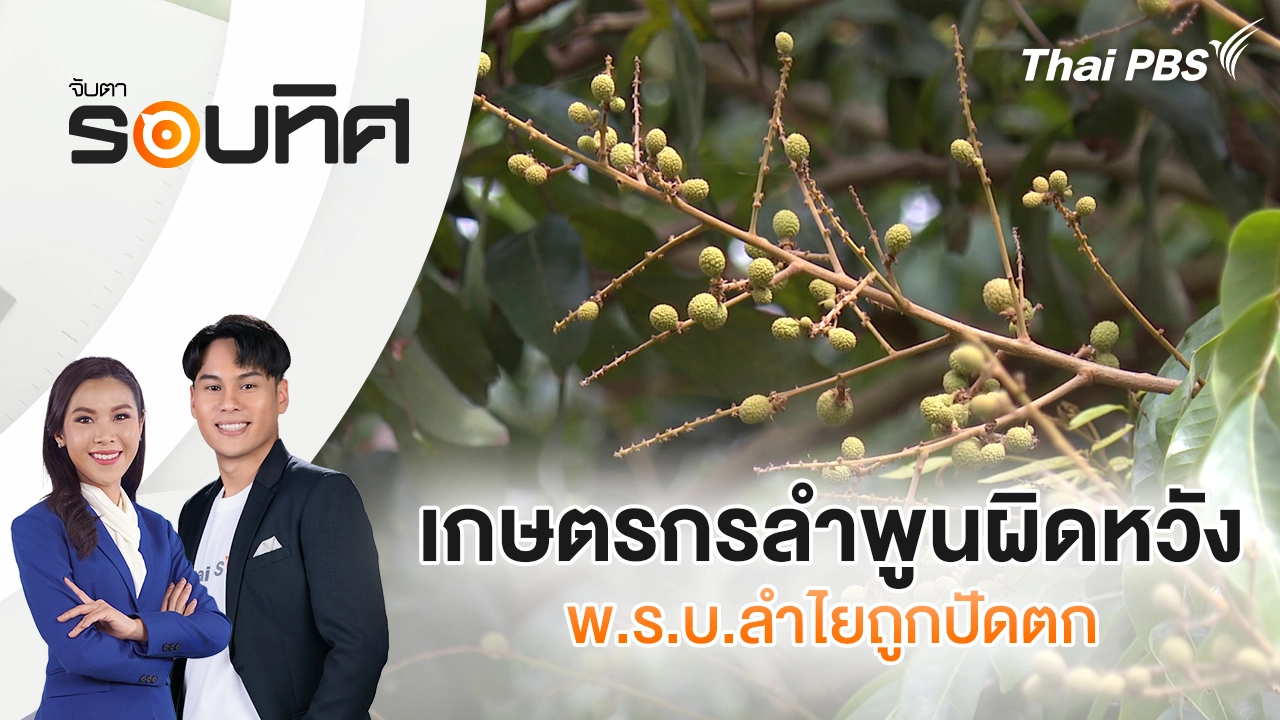 เกษตรกรลำพูนผิดหวัง พ.ร.บ.ลำไยถูกปัดตก