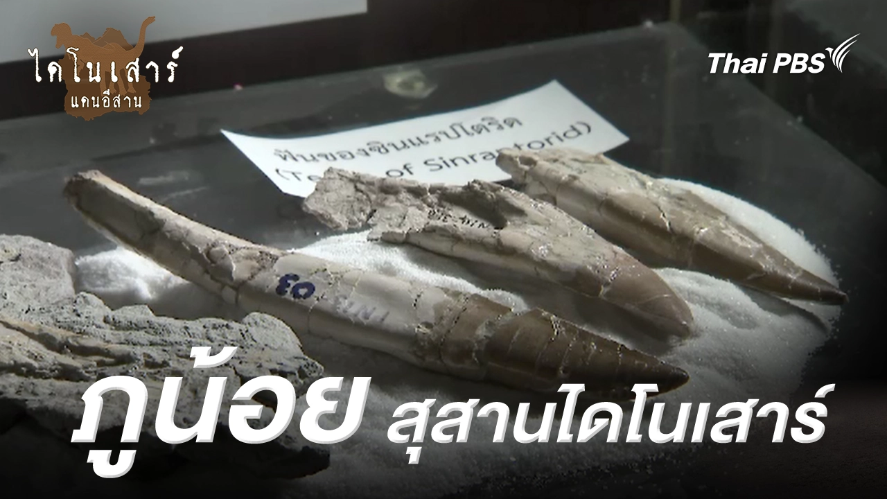 ภูน้อย สุสานไดโนเสาร์
