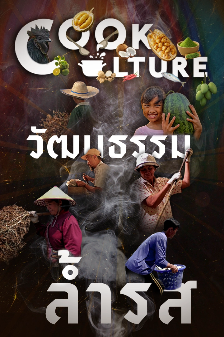 Cook Culture