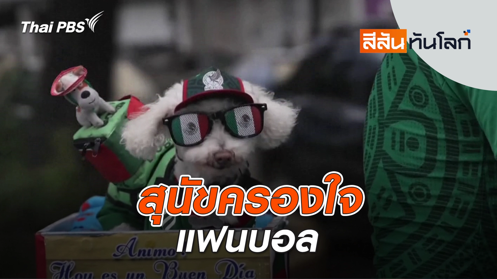 สุนัขครองใจแฟนบอล