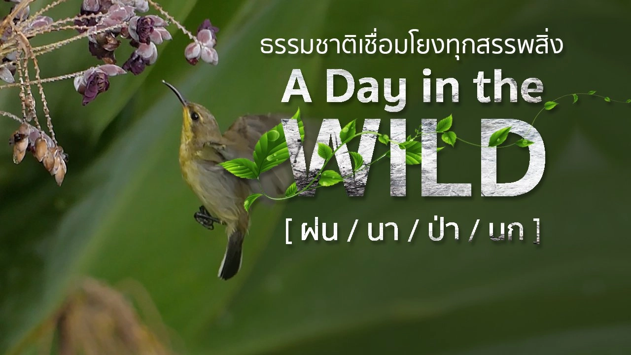 วิถีธรรมชาติ