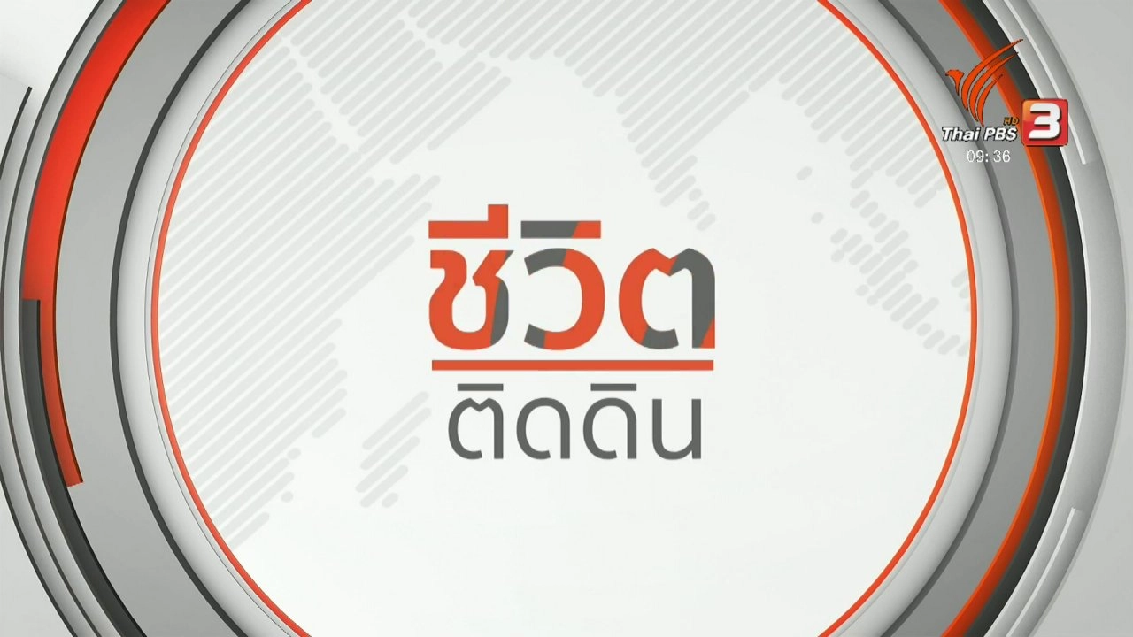 ชีวิตติดดิน