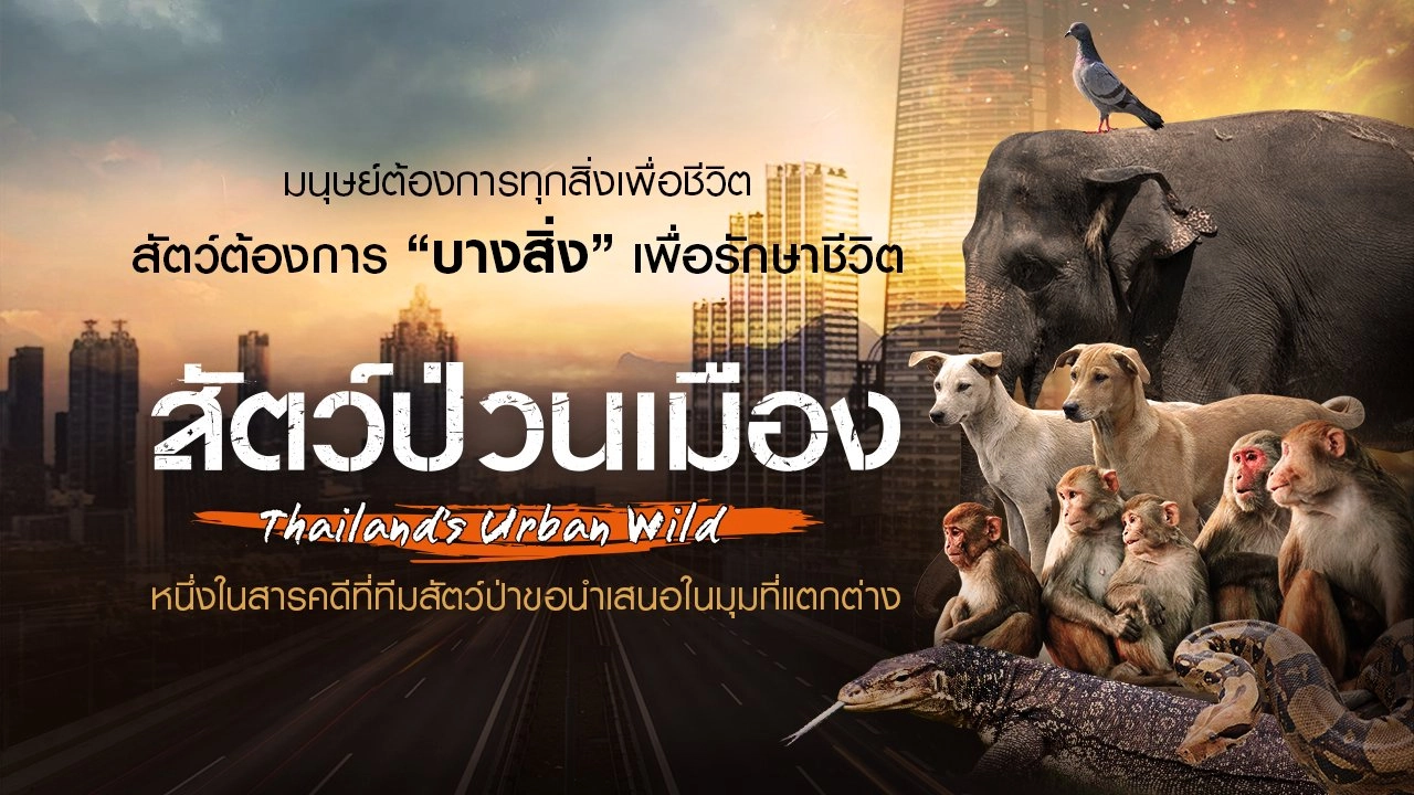 คลิปออนไลน์