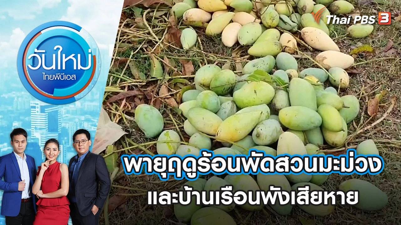พายุฤดูร้อนพัดสวนมะม่วงและบ้านเรือนพังเสียหาย | วันใหม่ ไทยพีบีเอส | 19 เม.ย. 65