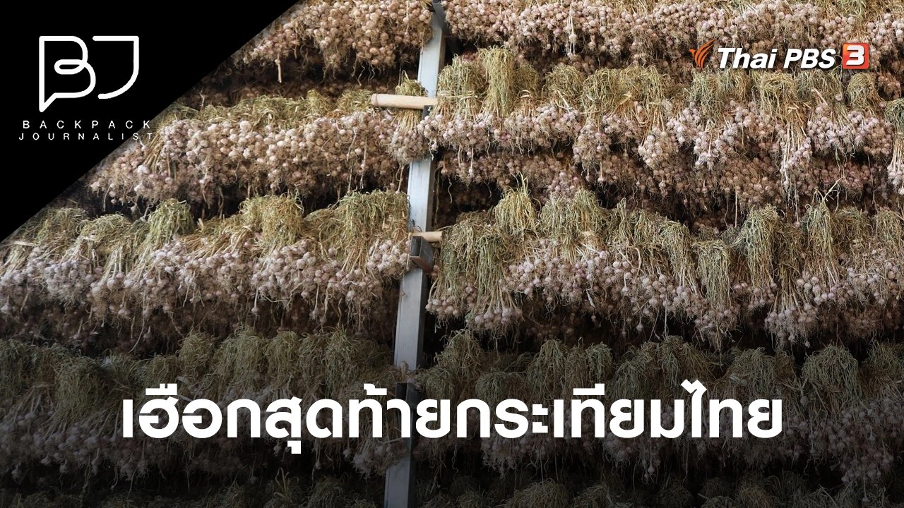 เฮือกสุดท้ายกระเทียมไทย