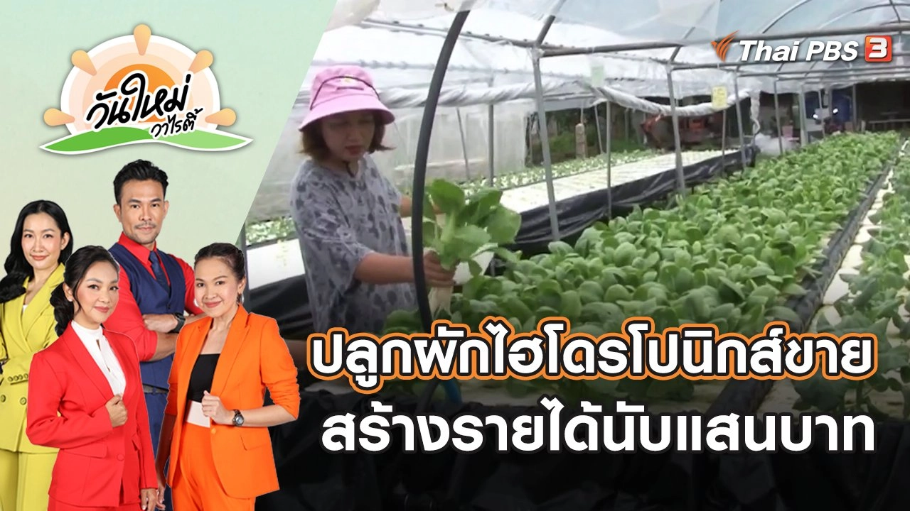 ปลูกผักไฮโดรโปนิกส์ขาย สร้างรายได้นับแสนบาท | วันใหม่วาไรตี้ | 10 พ.ค. 65