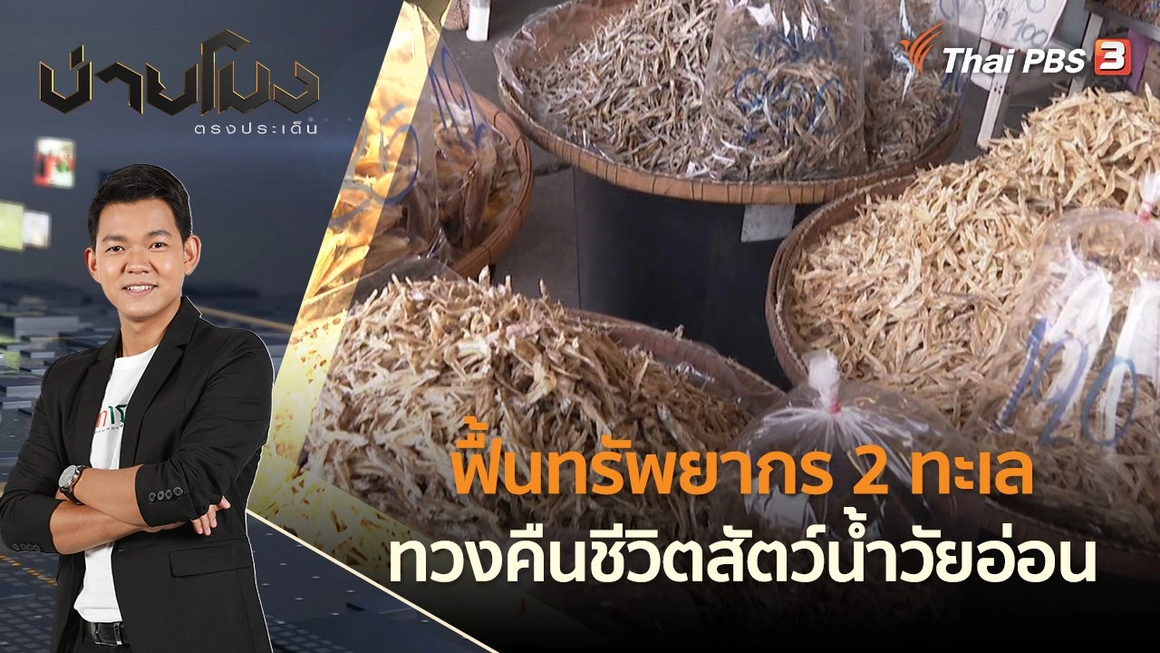 ฟื้นทรัพยากร 2 ทะเล ทวงคืนชีวิตสัตว์น้ำวัยอ่อน | บ่ายโมง ตรงประเด็น | 2 มิ.ย. 65