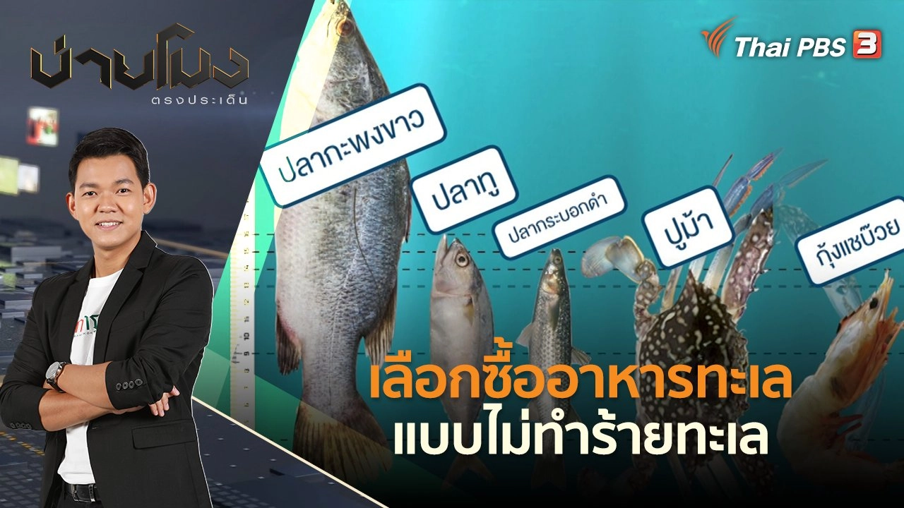 เลือกซื้ออาหารทะเล แบบไม่ทำร้ายทะเล  | บ่ายโมง ตรงประเด็น | 1 มิ.ย. 65