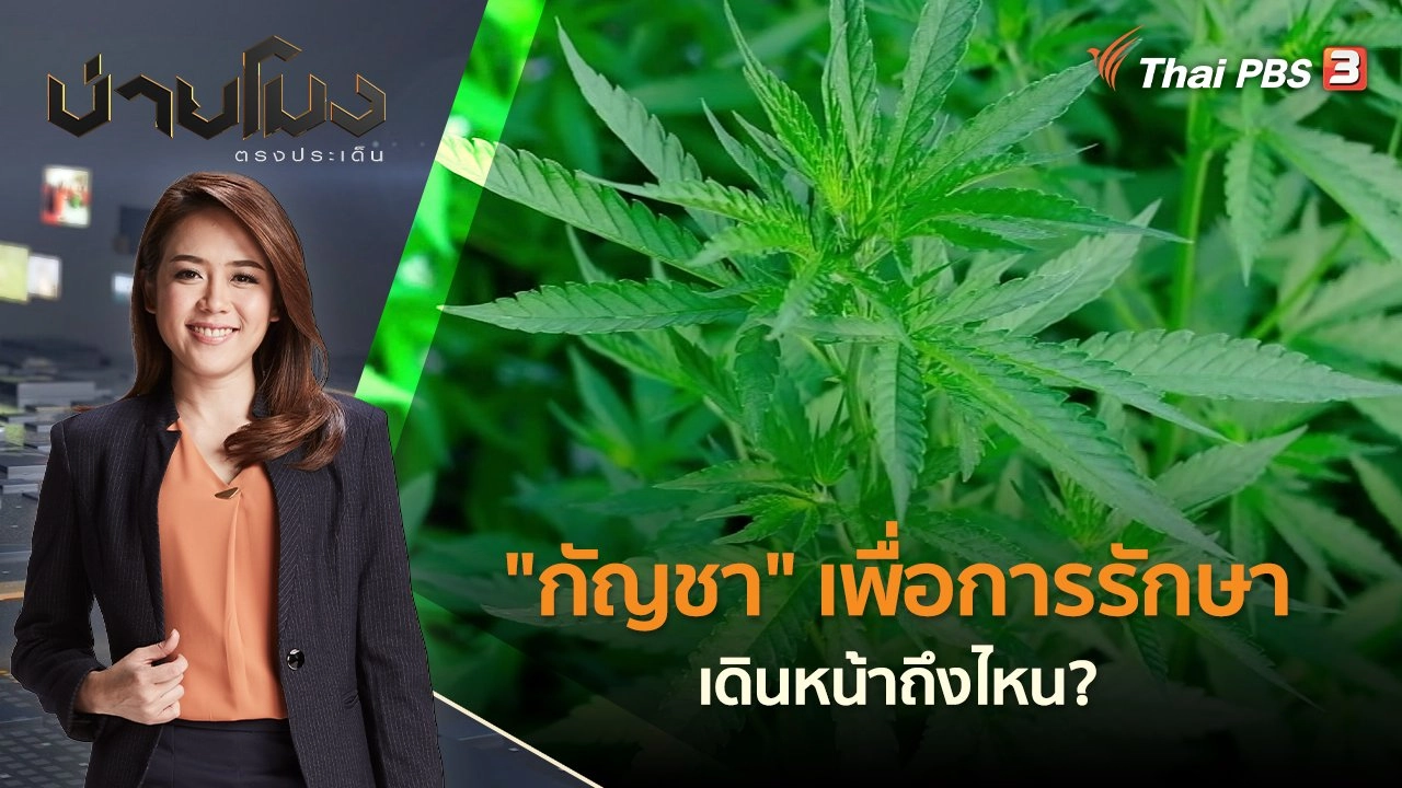 "กัญชา" เพื่อการรักษา เดินหน้าถึงไหน?  | บ่ายโมง ตรงประเด็น | 10 มิ.ย. 65