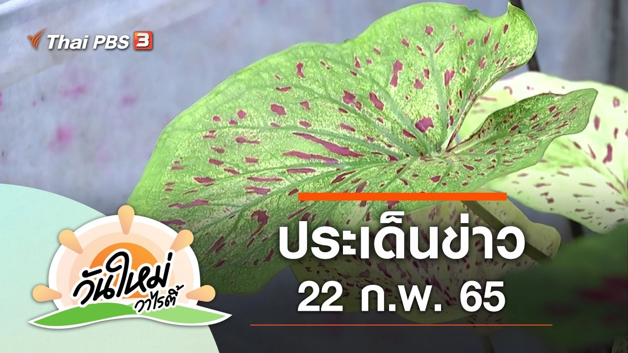 ประเด็นข่าว (22 ก.พ. 65)