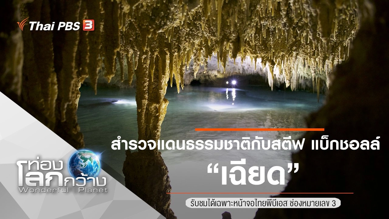 สำรวจแดนธรรมชาติกับสตีฟ แบ็กชอลล์ ตอน เฉียด