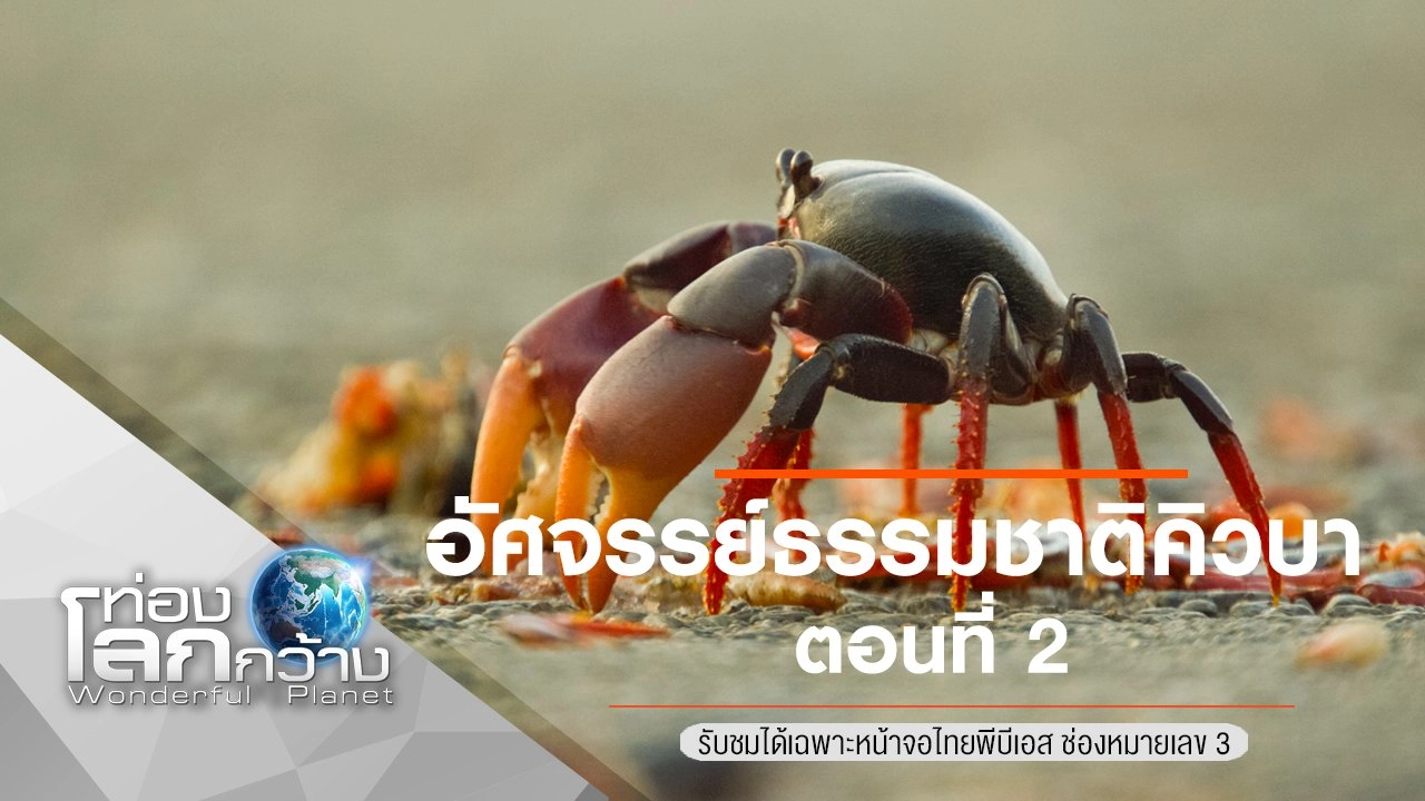 อัศจรรย์ธรรมชาติคิวบา ตอนที่ 2