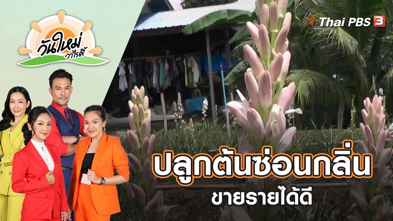 อดีตลูกจ้างโรงงานปลูกต้นซ่อนกลิ่นขายรายได้ดี | วันใหม่วาไรตี้ | 28 มิ.ย. 65