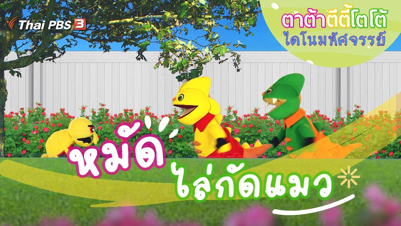 หมัดไล่กัดแมว