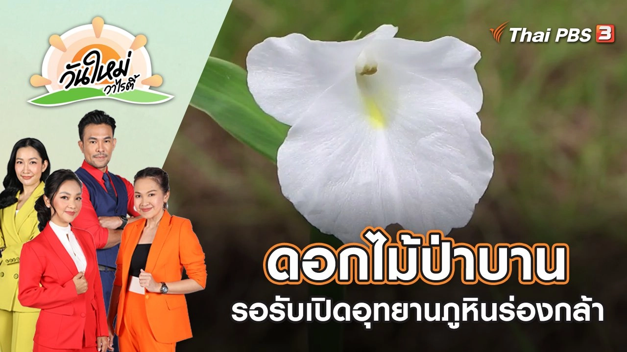 ดอกไม้ป่าบานรอรับเปิดอุทยานภูหินร่องกล้า | วันใหม่วาไรตี้ | 1 ก.ค. 65