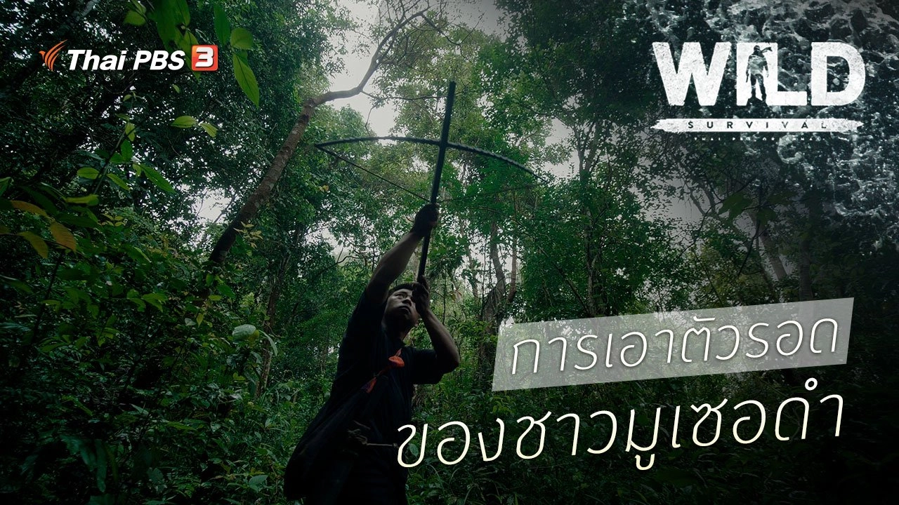 การเอาตัวรอดของชาวมูเซอดำ