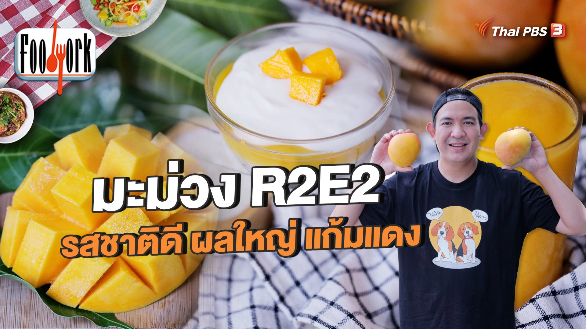 มะม่วง R2E2 รสชาติดี ผลใหญ่ แก้มแดง