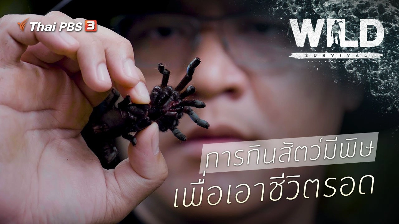 การกินสัตว์มีพิษ เพื่อเอาชีวิตรอด