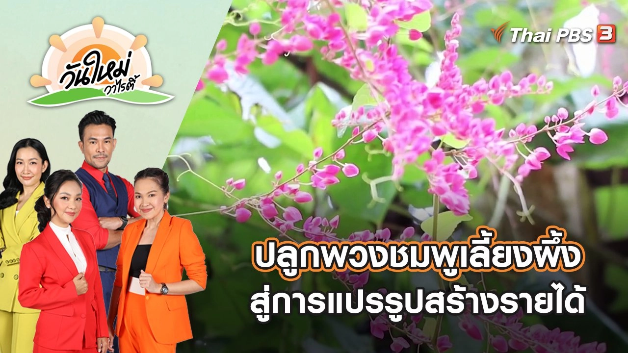 ปลูกพวงชมพูเลี้ยงผึ้งสู่การแปรรูปสร้างรายได้หลักแสนต่อปี | วันใหม่วาไรตี้ | 14 ต.ค. 65