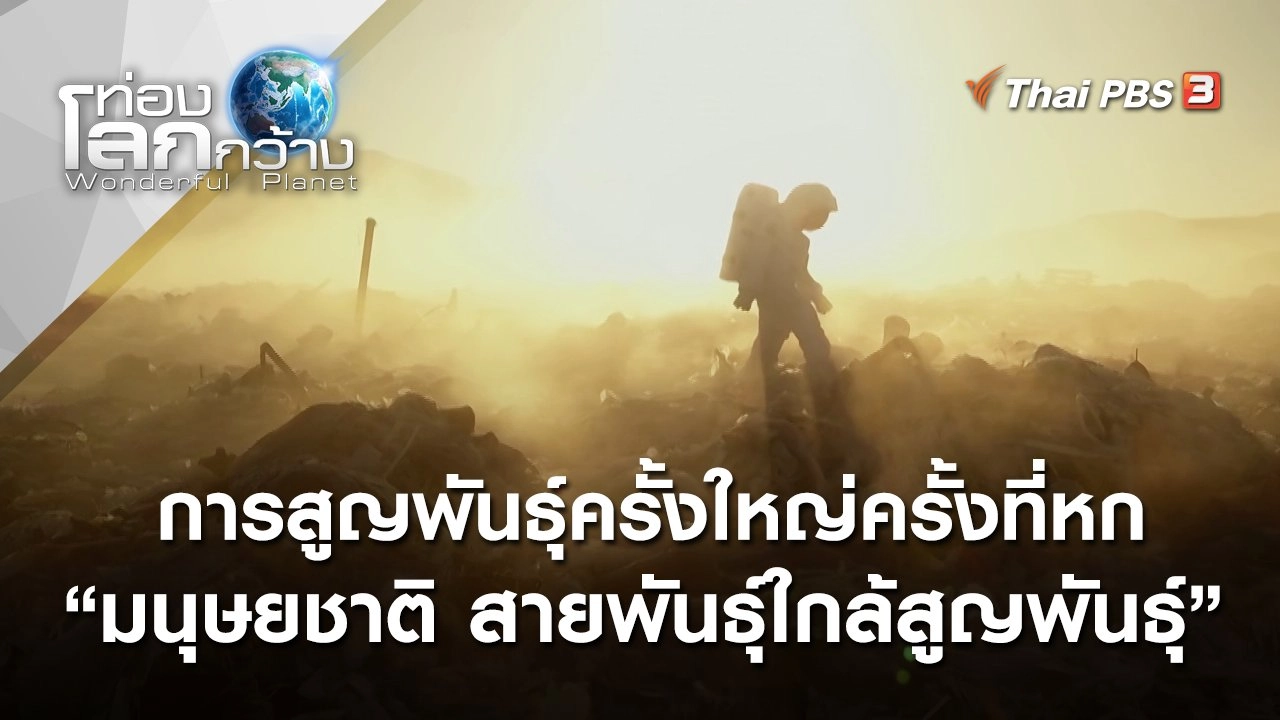 มนุษยชาติ สายพันธุ์ใกล้สูญพันธุ์ : การสูญพันธุ์ครั้งใหญ่ครั้งที่หก