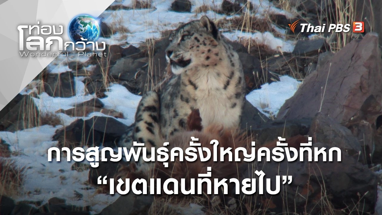 เขตแดนที่หายไป : การสูญพันธุ์ครั้งใหญ่ครั้งที่หก