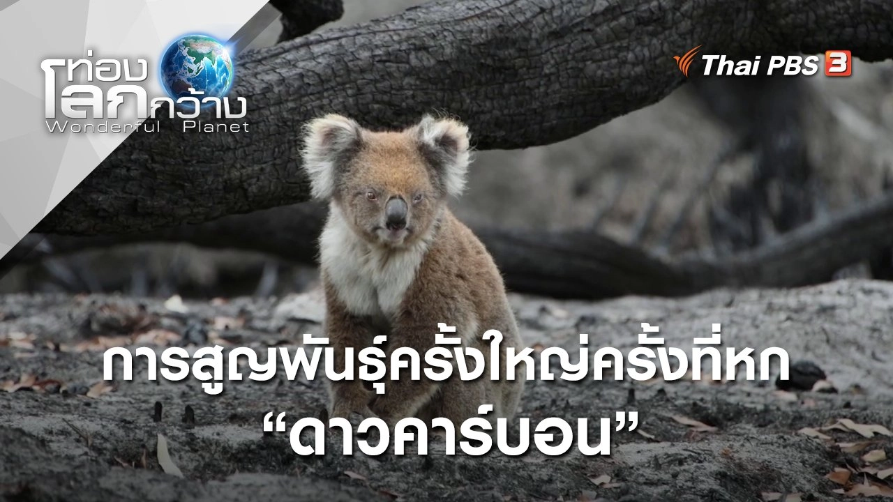 ดาวคาร์บอน : การสูญพันธุ์ครั้งใหญ่ครั้งที่หก