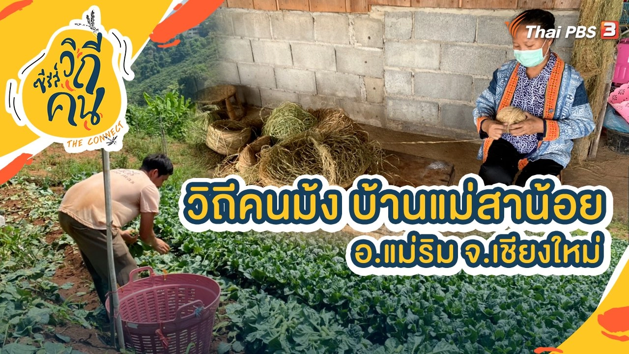 วิถีคนม้ง บ้านแม่สาน้อย อ.แม่ริม จ.เชียงใหม่