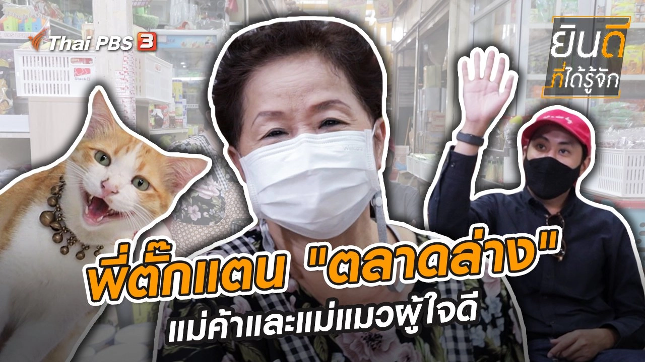 พี่ตั๊กแตน "ตลาดล่าง" แม่ค้าและแม่แมวผู้ใจดี